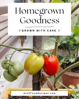 Fresh, juicy, and straight from the garden 🍅✨

🌿 Grown with care.

Visit 👉 AtoZFoodRecipes.com for fresh food inspiration.

#AtoZFoodRecipes #GardenFresh #Homegrown #Tomatoes #FreshFood #HealthyEating #OrganicLiving