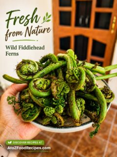 Ever seen this unique mountain vegetable? 🌿

In Himachal Pradesh, it's called Lingdu (Wild Fiddlehead Fern) and it's a seasonal favorite known for its earthy flavor and traditional recipes.

✨ Fresh from nature, straight to the plate.

👇 What do you call this vegetable in your region? We'd love to know!

🍽️ Discover recipes at AtoZFoodRecipes.com | Link on Bio

#AtoZFoodRecipes #FoodLovers #IndianFood #TraditionalRecipes #HealthyEating